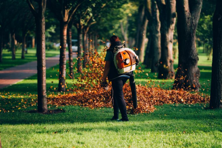 Lawn Maintenance Services